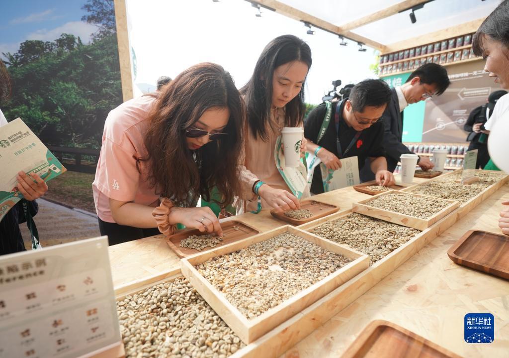 菠菜游戏源码